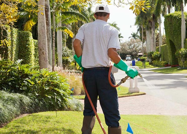 About Laramie WY Pest Control